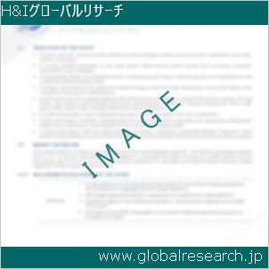 グローバルリサーチ調査レポートのイメージ